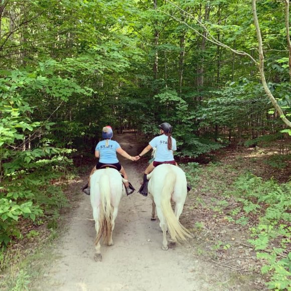 Meet your Posher, Zoe - Picture 4 of 8